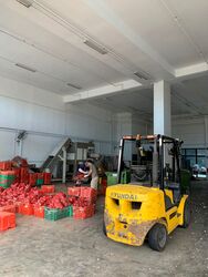 T99 (D22), Factory #382086851